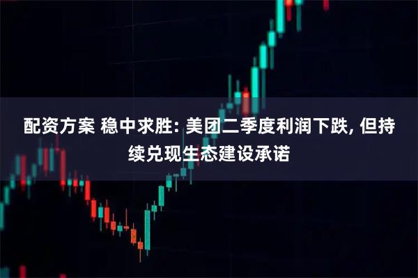 配资方案 稳中求胜: 美团二季度利润下跌, 但持续兑现生态建设承诺