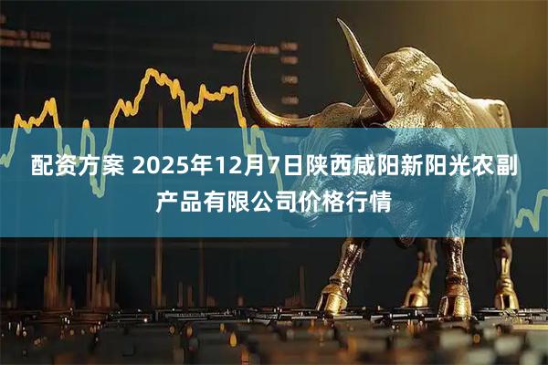 配资方案 2025年12月7日陕西咸阳新阳光农副产品有限公司价格行情